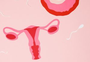 妊活新常識！卵子・精子の状態だけが重要なわけではなかった