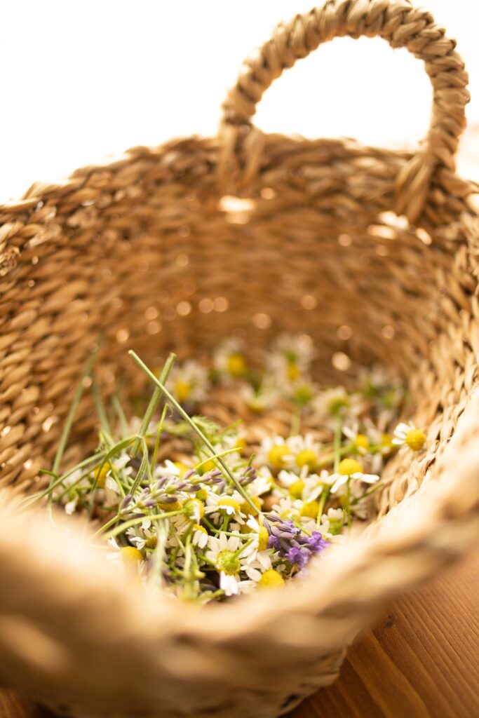 ラベンダー・カモミール