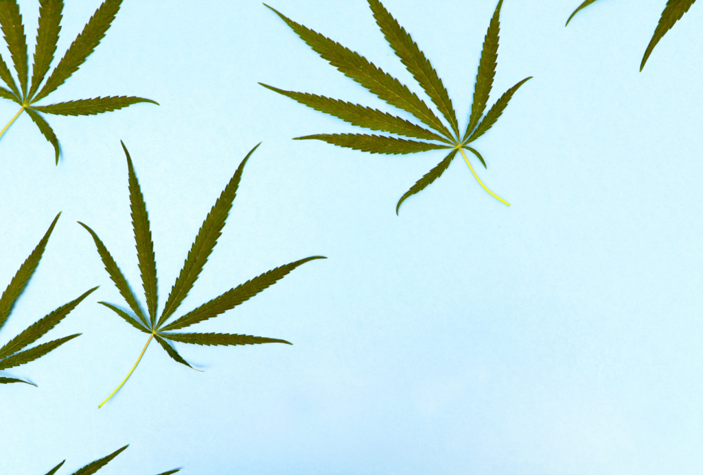 CBDってなあに？期待できる効果ってどんなもの？？