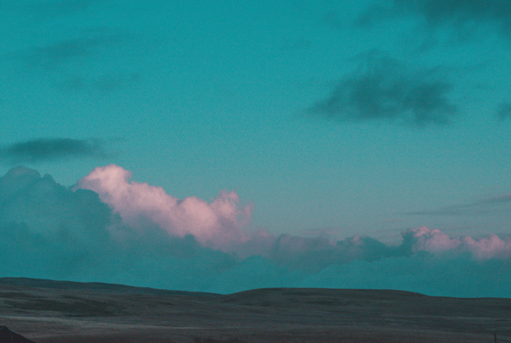 11月は子宮頚がんの啓発月間♪【2024年11月イベント情報】