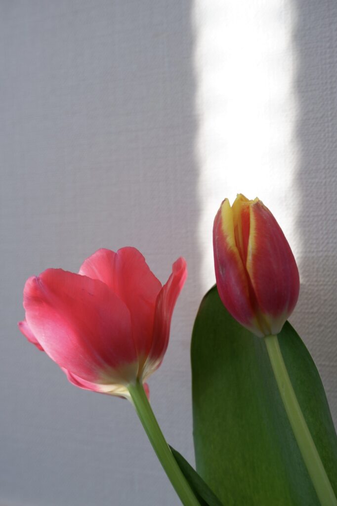 【PMSをテーマにした写真展】『Beautiful blind world』@心斎橋hill.top.gallery 